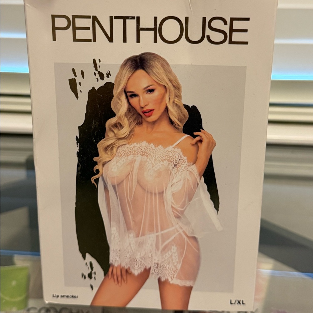 Penthouse Sheer White Lace Chemise